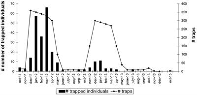Successful eradication of an invasive alien Pallas’s squirrel (Callosciurus erythraeus Pallas 1779) population in the Netherlands with support of the local community